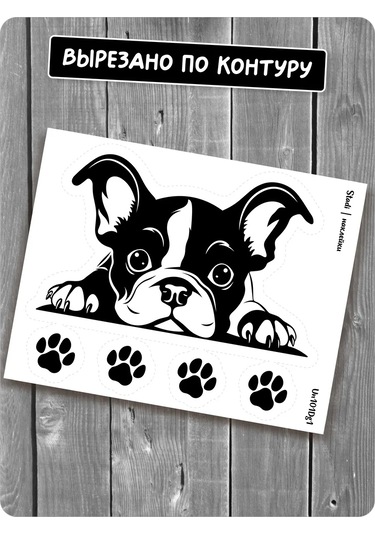 Stadi Dikkat Eden Köpek Etiketi 200702513 Siyah