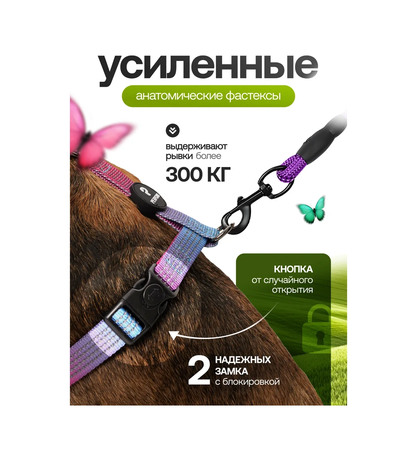 Petfort Köpekler İçin Anatomik Tasma 431185165