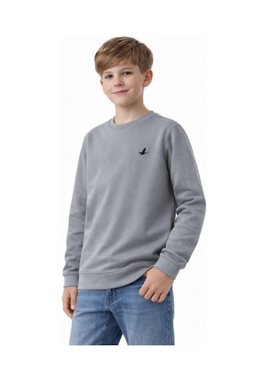 Baglan Erkek Çocuk Sweatshirt Bgl-st05228 Gri