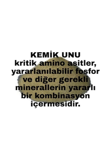 1 Kg Kemi̇k Unu