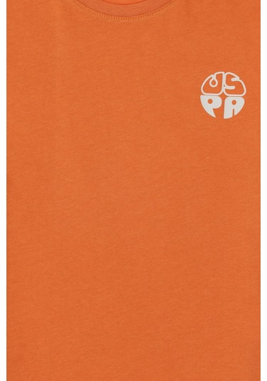 U.s. Polo Assn. Erkek Çocuk Tarçın Tişört Basic 50295503-vr191 Tarçın