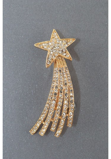 Gold Kayan Yıldız Broş. Yaka İğnesi Broş. Taşlı Broş. Gold Broş. Kadın Broş. Erkek Broş. Yıldız Broş Kırmızı