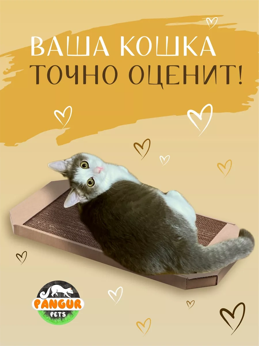 Pangur Kediler İçin Mukavva Ve Kırışık Yüzeyli Yere Yerleştirilen Tırmalama Direği 49814604