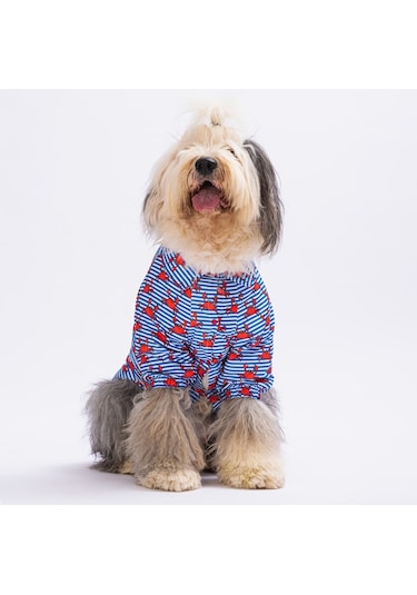 Pawstar Crabs Büyük Köpek Gömleği