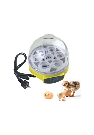 Suntek Clear Eggs Kuluçka Makinesi 7 Yumurta Kuş Tavukları