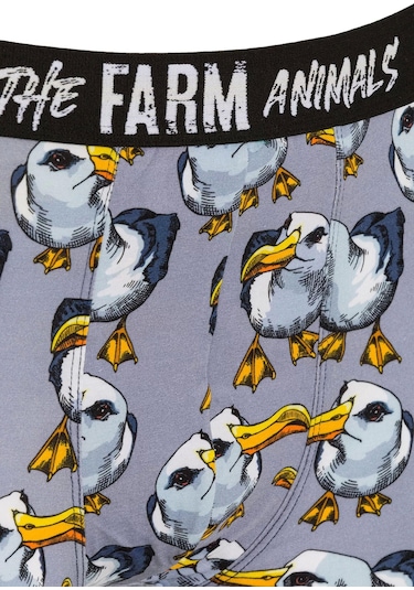 Farm Animals Seagull Desenli Boxer Çok Renkli