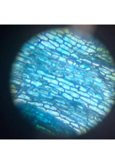 Techtic 100x-1200x Eğitici Mikroskop Kiti Zoom Science Led Işıklı