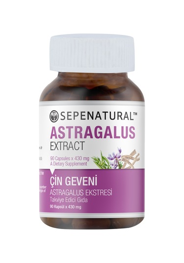 Astragalus Root Extract Çin Geveni Ekstresi 90 Kapsül