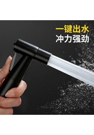 Dianziye 304 Paslanmaz Çelik Tuvalet Spreyi - Ev Bakımı Yardımcısı, Kadın Yıkama Fonksiyonu, 1.5m Genişleyen Boru, Siyah Set, Tüketici Dostu Ve Dayanıklı