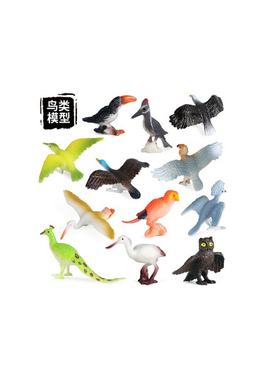 Çocuklar İçin Bilişsel Oyuncaklar Simülasyon Kuş Hayvan Modeli Kuş Ağaçkakan Papağan Baykuş Tavus Kuşu Süs Seti Dt Katı Mini Kuşlar 12 Model