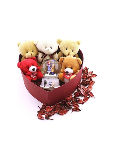 Seni Seviyorum Hediye Kutusu Sevgiliye Özel Romantik Kalpli Kutuda Ayıcık Ve Kar Küresi Hediye Seti Dekoratif Obje