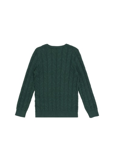 U.s. Polo Assn. Erkek Çocuk Koyu Yeşil Kazak /triko 50315639-vr079 Koyu Yesıl