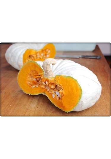 Balkabağı Tohumu Arıcan 97 10 GR En İyi Çeşit