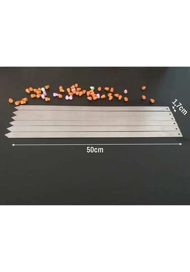 Rotanev Profesyonel Metal Kıyma Şiş Adana Urfa Antep Kebap Şişi 12 Adet