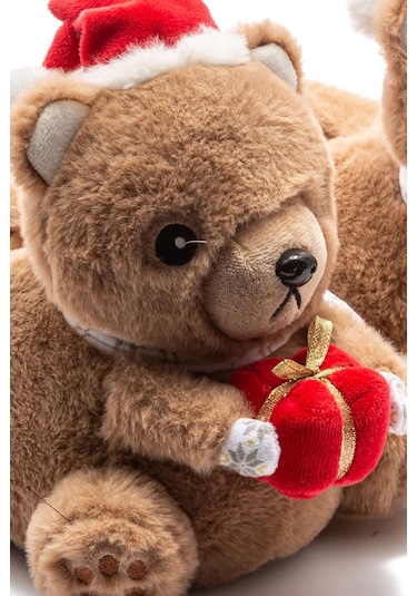 Twigy Regalo Çocuk Hayvanlı Panduf Kahverengi 30/35 CC0627A Kahverengi