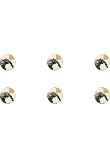 Porland Wild Life Elephant Bardak Altlığı 10 CM 6'lı 04Alm006626 Çok Renkli