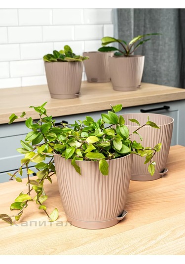 Al' Ternatıva Çiçek Saksısı 1.2l, 6 Adet 239823510