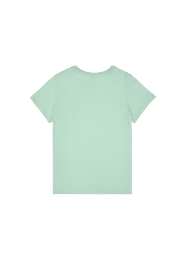 U.s. Polo Assn. Erkek Çocuk Su Yeşili Tişört Basic 50306502-vr048 Su Yesılı Su Yeşili