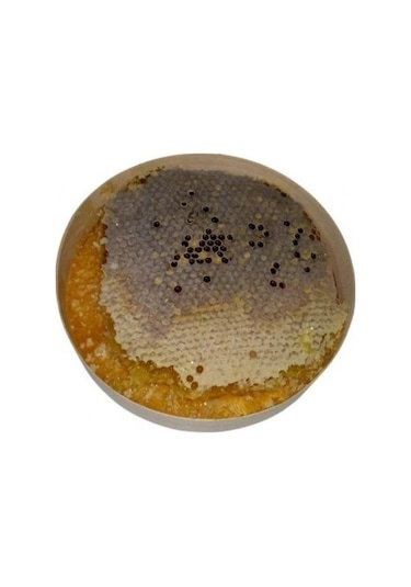 Kestane Karakovan Balı 1 KG