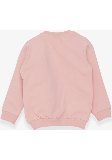 Breeze Kız Çocuk Sweatshirt Ayıcık Aksesuarlı 1.5-5 Yaş, Pudra (556838383) Çok Renkli