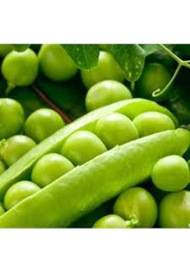 200 Adet Tohum Organik Geleneksel Bezelye Tohumu Sebze Tohumu