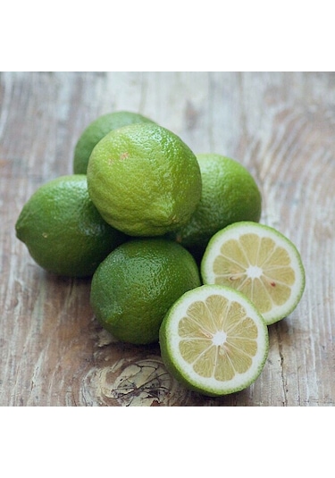 Misket Lime Limon Tohumu 3 Tohum + Tohum
