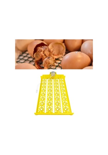 Pazly Otomatik Yumurta Çevirme Makinesi Kuluçka Tavuk Suntek Ac-12v Pm