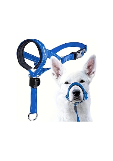 Elmpaly Mavi Küçük Köpek Tasması, Ayarlanabilir Rahat Antrenman Yürüyüş