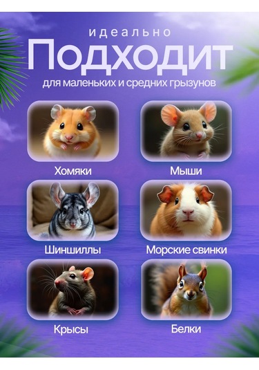 Sıçanlar, Hamsterlar Ve Kemirgenler İçin Hamak 368016693