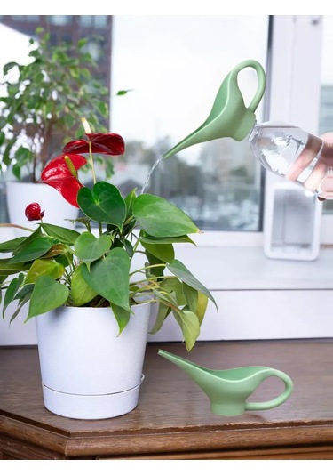 Arrıchi İç Mekan Çiçekleri İçin Sulama Kasesi 224342131