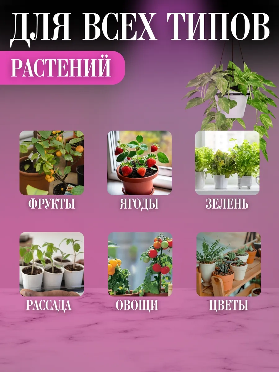 Eligio Tam Spektrumlu Klipsli Bitki Ve Fide İçin Fito Lamba 325338233 Kırmızı