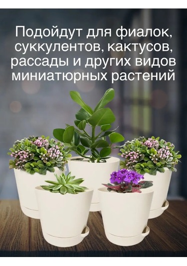 Interm Menekşeler, Sukulentler Ve Kaktüsler İçin Küçük Çiçek Saksısı 52390371