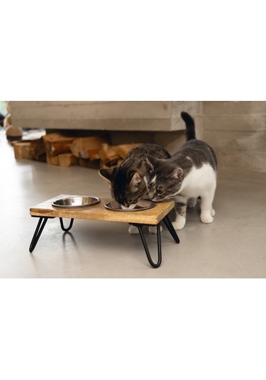 Beeztees Dbl Kedi İkili Mama Ve Su Kabı, Paslanmaz Çelik, Beyaz, 31x16x10cm, 2x350ml