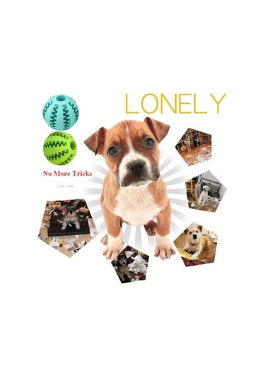 Fochsia Evcil Hayvan Diş Kaşıyıcı Karpuz Top Köpek Oyuncak 6 Cm Çap Mavi