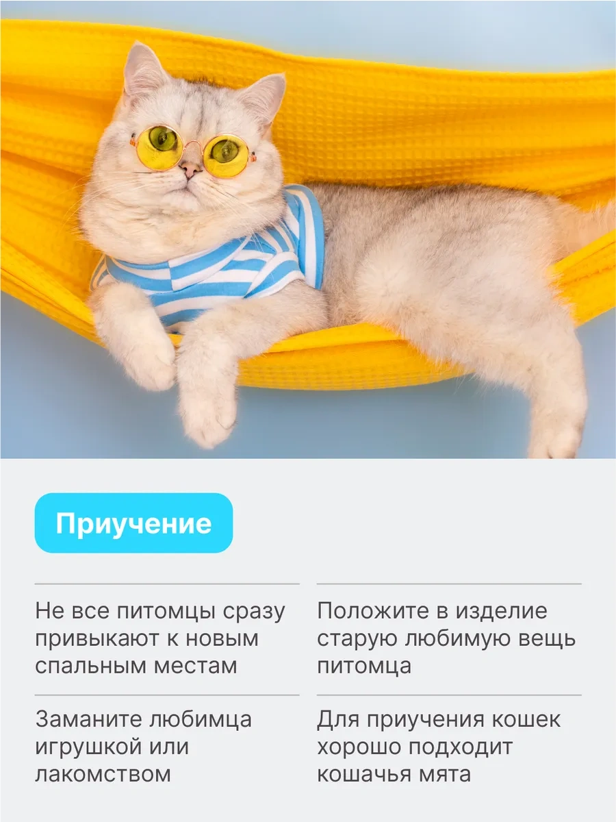 Rıch Breed Küçük Irk Kediler Ve Köpekler İçin Yumuşak Yuva 37658078