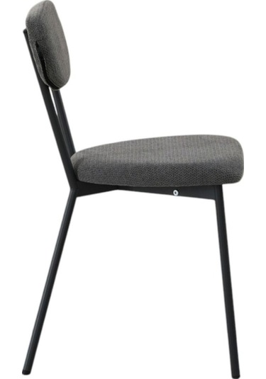 Demonte Sandalye 2 Adet Antrasit