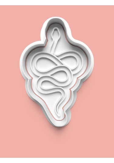 Yılan Kurabiye Kalıbı Ve Şeker Hamuru Kalıbı 4'lü Set