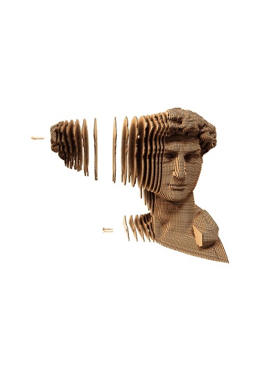 Cartonic 3d Puzzle - Davıd