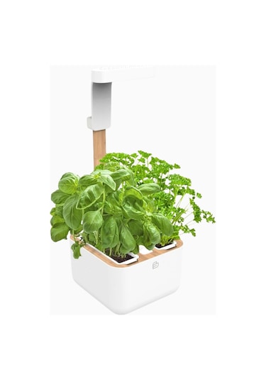 Veritable Botaneo Indoor Akıllı Iç Mekân Bitki Yetiştirme Sistemi, Beyaz Hobi Bahçesi