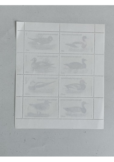 Ördek Temalı Ekvator Ginesi Damgasız 8'li Blok Pul