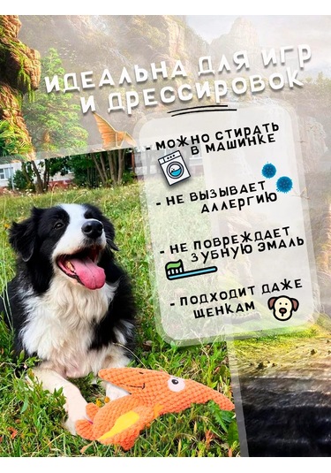Zoolend Köpekler İçin Oyuncak, Yumuşak, Dinozor 269548832