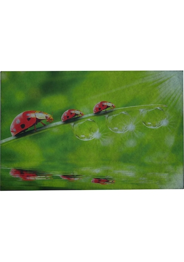 Myfloor Uğur Böcekleri Desenli Çift Taraflı Kauçuk Kapı Önü Paspası