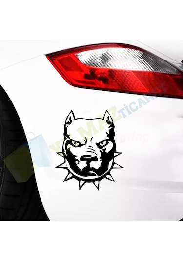 Pitbull Oto Sticker Araba Etiket Yapıştırma Süper Kaliteli Folyo