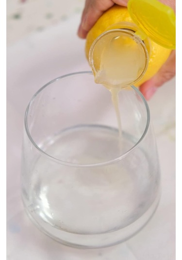 Teltree Bpa-free Plastik Limon Sıkacağı 2 Adet Kapaklı Kompakt Portakal Suyu Ekstraktörü Kokteyller İçin Yeşil - Sarı