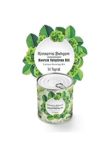 Buffer Konserve Bahçem Evde Konservede İri Yapraklı Kıvırcık Yetiştirme Kiti
