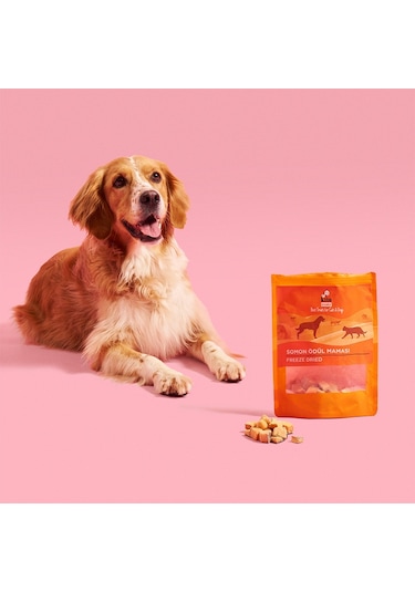 Kito Freeze Dried Somon Ödül Maması Kediler İçin 30 G