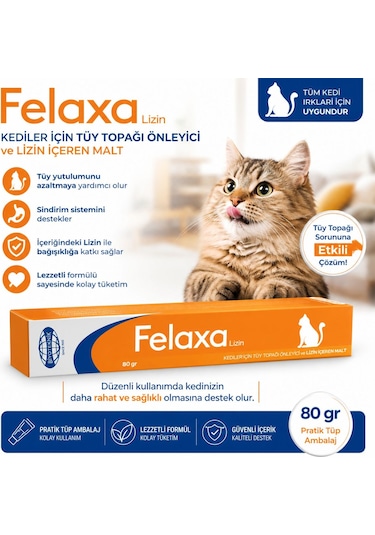 Biyoteknik Felaxa Lizin Oral Pat Malt 80 Gr