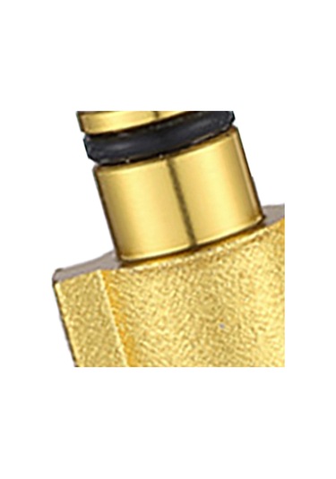 Homyl Elektrikli Yıkayıcı Püskürtücü Için Basınçlı G