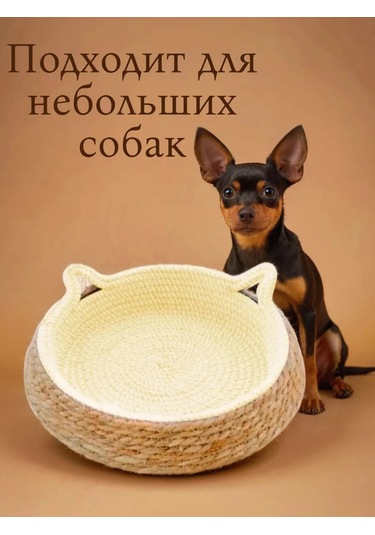 Vektorı Kediler Ve Köpekler İçin Tırmalama Tahtalı Yatak 463888975