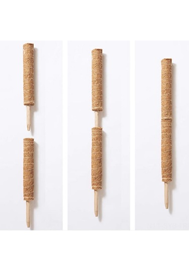 Symbee 45cm Hindistan Cevizi Kabuğu Kardeşot Stütünü, Bitki Tırmanma Desteği, Lifli Ve Kolay Kullanım, 2 Adet